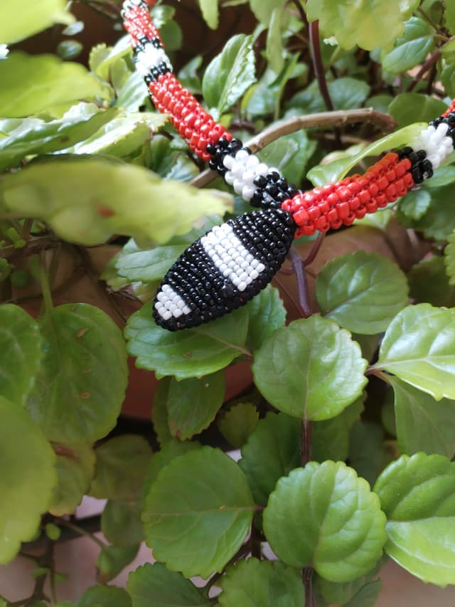 thumbnail of Chicote de misangas para Caboclos Cobra Coral